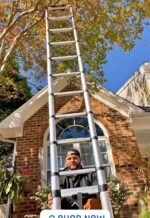 6.3 metres Telescopic ladder - Image 2